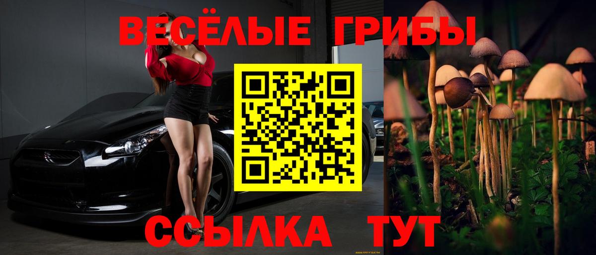 Псилоцибиновые грибы прущие грибы  Вход с VPN  Нарьян-Мар 